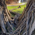 Art In The Wild Workshop