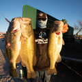 AZ Open at Lake Havasu