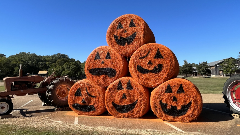Pumpkin Adventure - Mississippi Agriculture & Forestry Museum.jpg