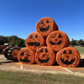 Pumpkin Adventure - Mississippi Agriculture & Forestry Museum