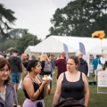 free-photo-of-people-at-a-festival