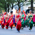 Festival of India - India Association of Charlotte