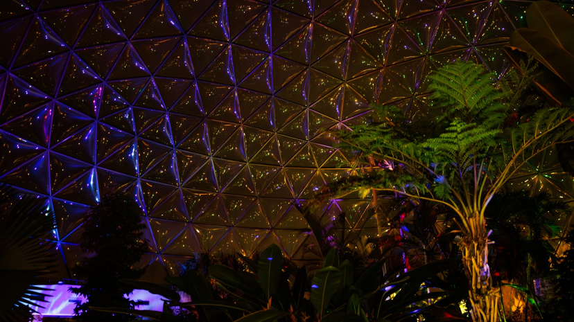 Dome After Dark - Greater Des Moines Botanical Garden.jpg