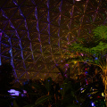 Dome After Dark - Greater Des Moines Botanical Garden
