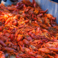 Pensacola Crawfish Festival