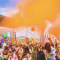 Colors PXO