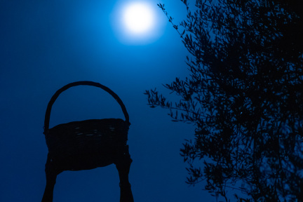www.stemajourneys.com-kera-full-moon-olive-harvest-fb-site-52