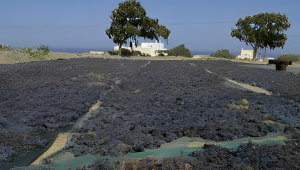 vedema