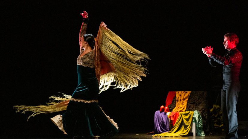 Ciutat Flamenco.jpg