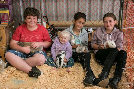waikato-show-gallery-016