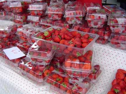 Waimate Strawberry Fare