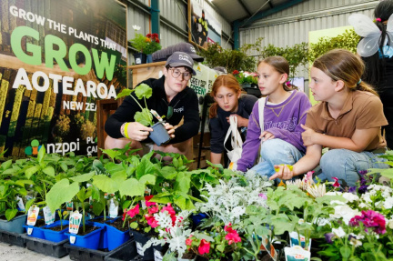 Fieldays