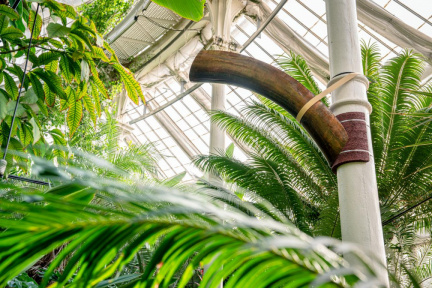 Marie Lund i Palmehuset_bldngs_Foto-Frederik Wolff-Statens Naturhistoriske Museum (1).png