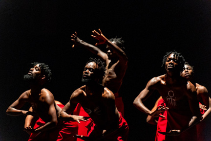 Afrovibes Festival