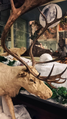 Winter-at-the-Booth-museum_1200