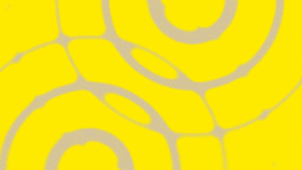 micr_background_1920x1080_jaune-01