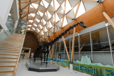 Dippy in Coventry 2 copy