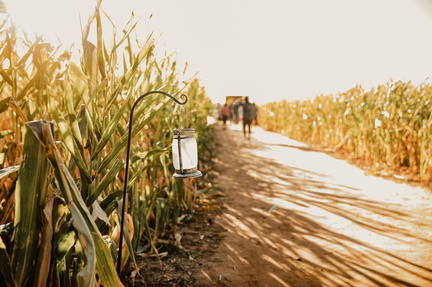 At'l Do Farms Corn Maze