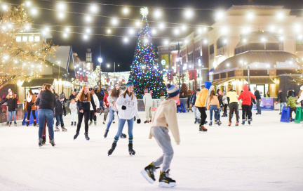 The Pond Ice Rink