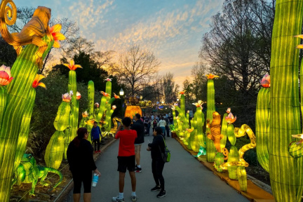 ST-LOUIS-LANTERN-REDO-18-1536x921-1.jpg-1