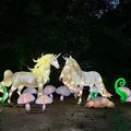 Unicorns-1080-web