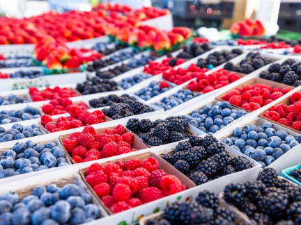 fruits-farmers-market-2_D809019A-C4E2-D24F-AB112FB0C01F7F4E_d818fd23-c799-4e26-7fa64303a5471f1b