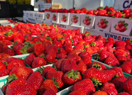 Riverlakes Farmers Market