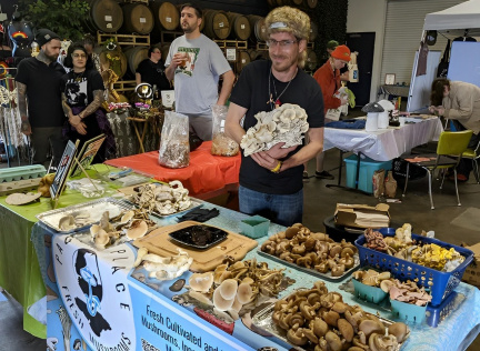 Mushroom Festival
