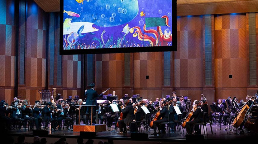 Wild Symphony.v1.jpg