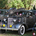 Hot Cars & Cool Cats Car Show