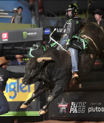 pbr