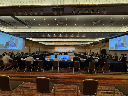 APEC CEO Summit