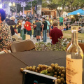 6th Annual Corpus Christi Wine Festival Donavon Frankenreiter & Bart Crow