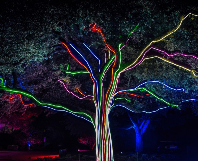 Lightscape