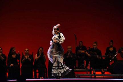 Flamenco Montpellier Métropole