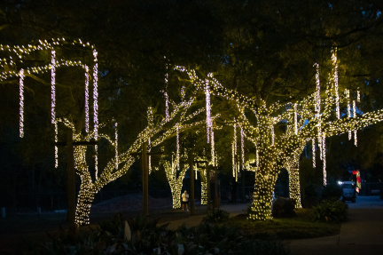 Zoo Lights