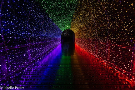 52505037352 68136401e7 b