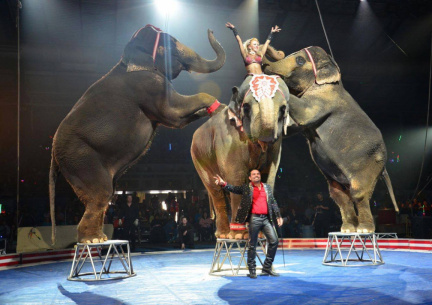 90th Annual Hadi Shrine Circus