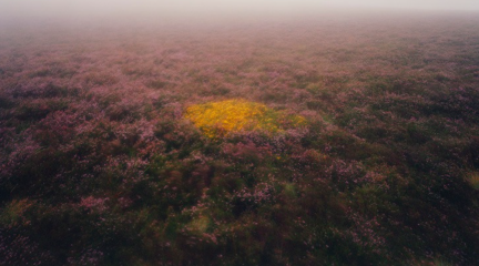 Dartmoor, A Radical Landscape