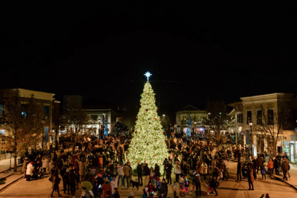 20231124_Christmas_Tree_Lighting_EGR_054-1-_12EB743C-ABAC-E204-5CEA8696E4A8851C_12edc83f-9412-2f4a-ecb6cfeeeddd0ca8