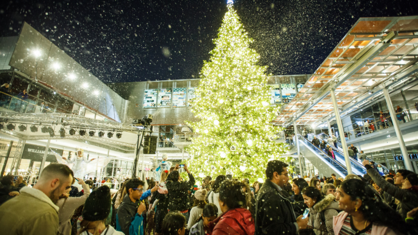 tree-lighting-2048x1366.png