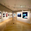 Pleasanton Art League Exhibit