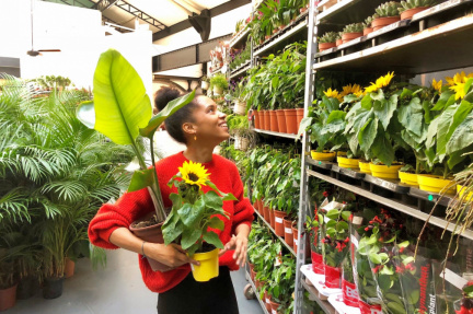 Grande Vente de Plantes