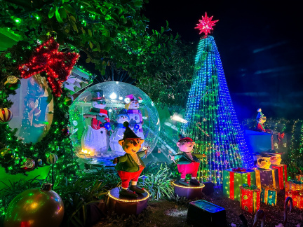Christmas Light Show