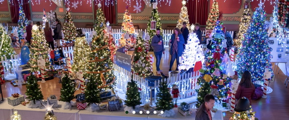 Feztival of Trees