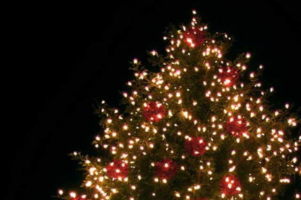 wildlights-at-Prescott-Heritage-Park-Zoo (1)