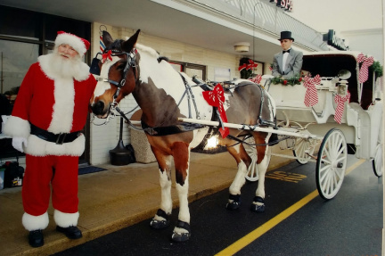 HIGH-RESOLUTION-HORSE-AND-CARRIAGE