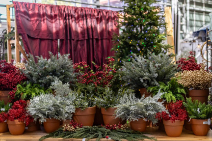 McDonald Garden Center