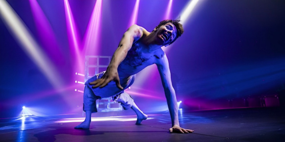 Paranormal Cirque II