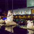 DS7_7085-1536x1024